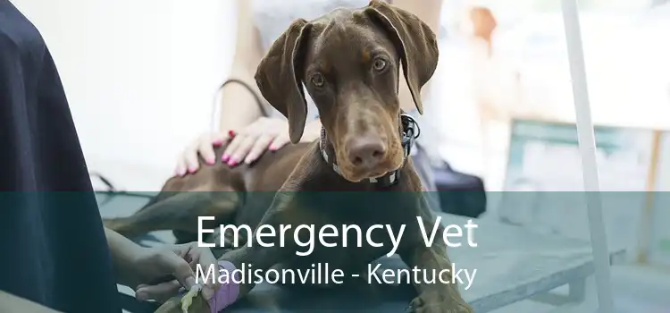 Emergency Vet Madisonville - Kentucky