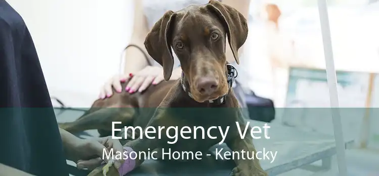 Emergency Vet Masonic Home - Kentucky