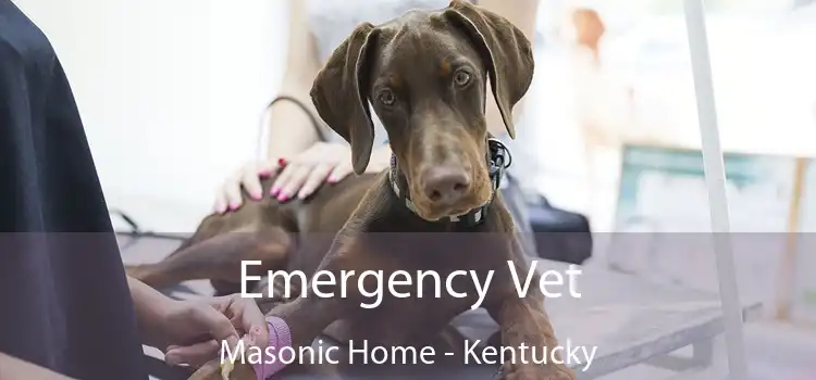 Emergency Vet Masonic Home - Kentucky