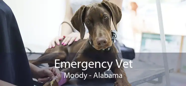 Emergency Vet Moody - Alabama