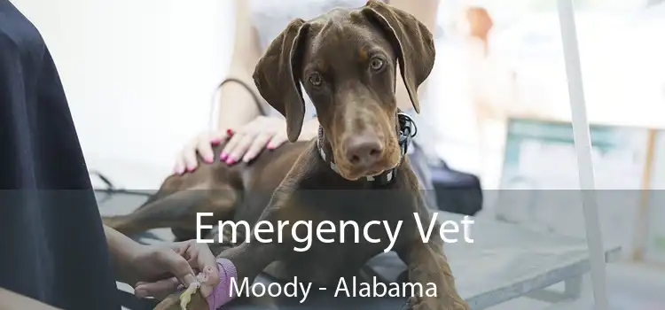 Emergency Vet Moody - Alabama