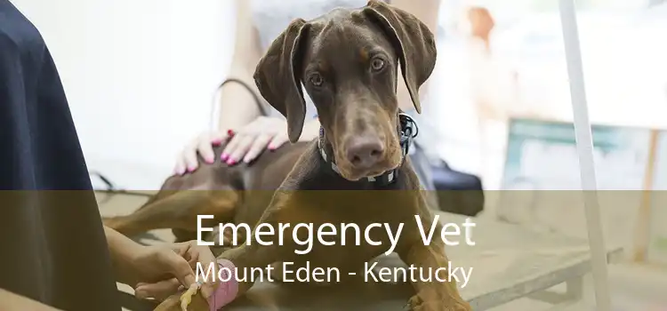 Emergency Vet Mount Eden - Kentucky