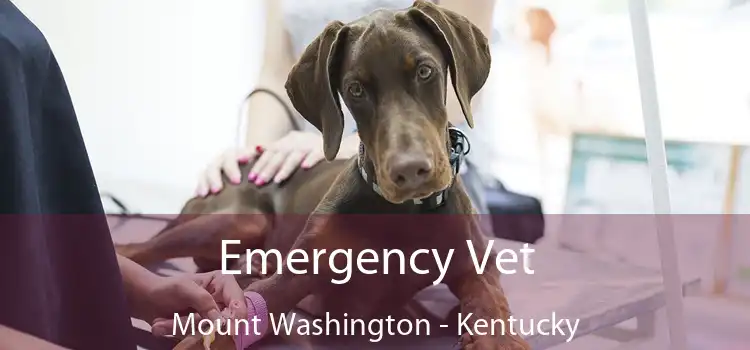 Emergency Vet Mount Washington - Kentucky