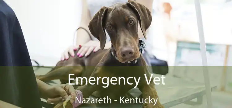 Emergency Vet Nazareth - Kentucky
