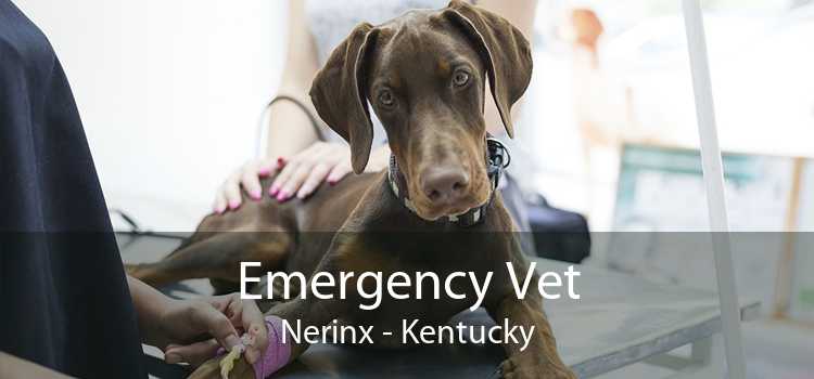 Emergency Vet Nerinx - Kentucky