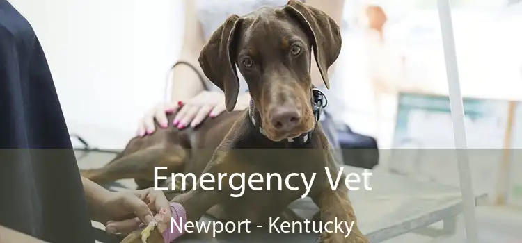 Emergency Vet Newport - Kentucky