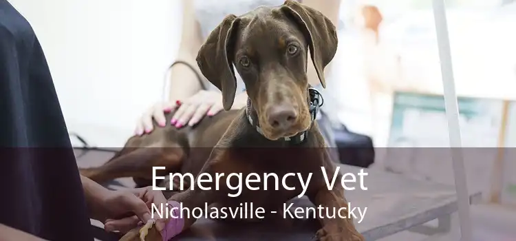 Emergency Vet Nicholasville - Kentucky