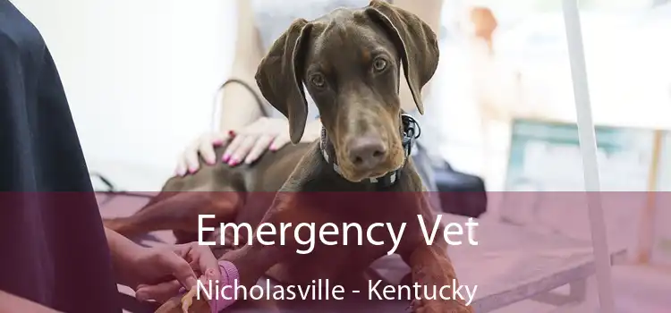 Emergency Vet Nicholasville - Kentucky