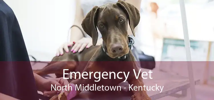 Emergency Vet North Middletown - Kentucky