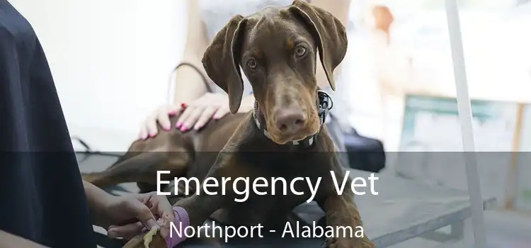 Emergency Vet Northport - Alabama