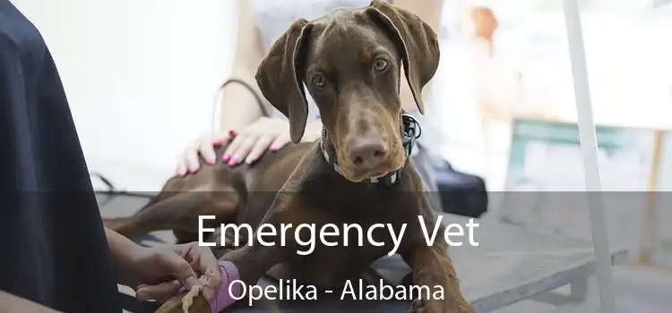 Emergency Vet Opelika - Alabama