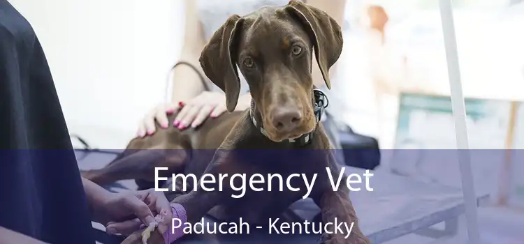 Emergency Vet Paducah - Kentucky