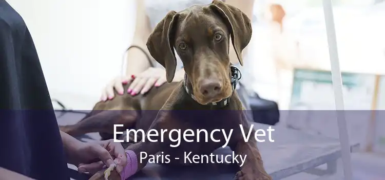 Emergency Vet Paris - Kentucky