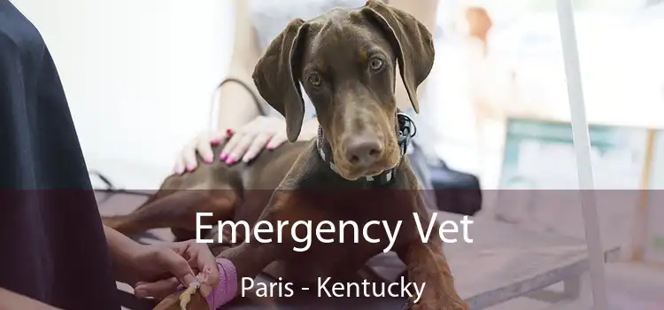Emergency Vet Paris - Kentucky