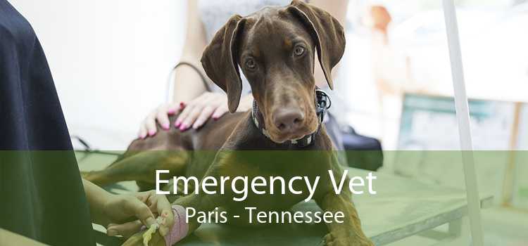 Emergency Vet Paris - Tennessee