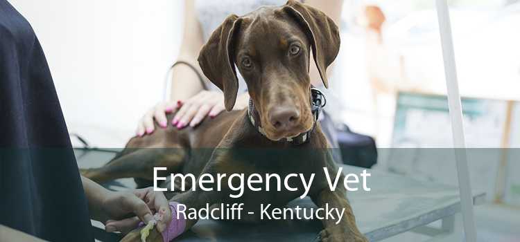 Emergency Vet Radcliff - Kentucky