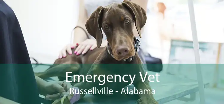 Emergency Vet Russellville - Alabama