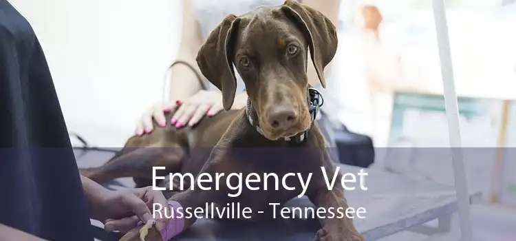 Emergency Vet Russellville - Tennessee