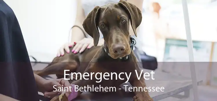 Emergency Vet Saint Bethlehem - Tennessee