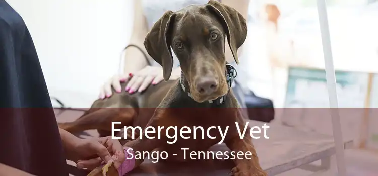 Emergency Vet Sango - Tennessee