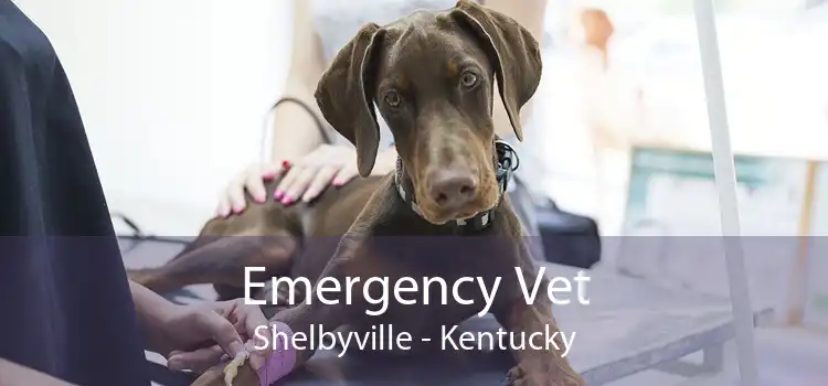 Emergency Vet Shelbyville - Kentucky