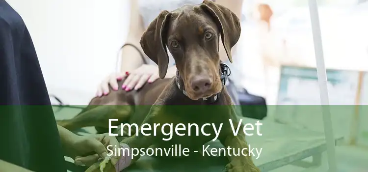 Emergency Vet Simpsonville - Kentucky
