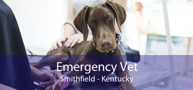 Emergency Vet Smithfield - Kentucky