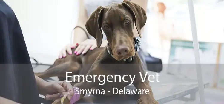 Emergency Vet Smyrna - Delaware
