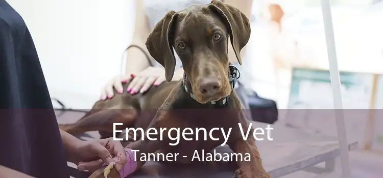Emergency Vet Tanner - Alabama