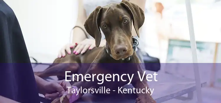Emergency Vet Taylorsville - Kentucky