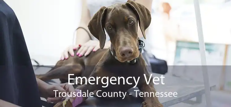 Emergency Vet Trousdale County - Tennessee