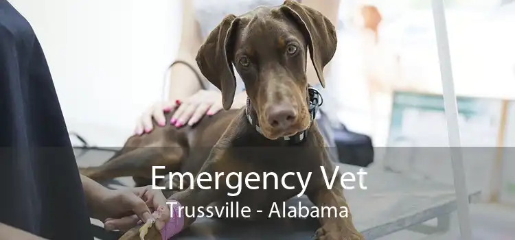 Emergency Vet Trussville - Alabama
