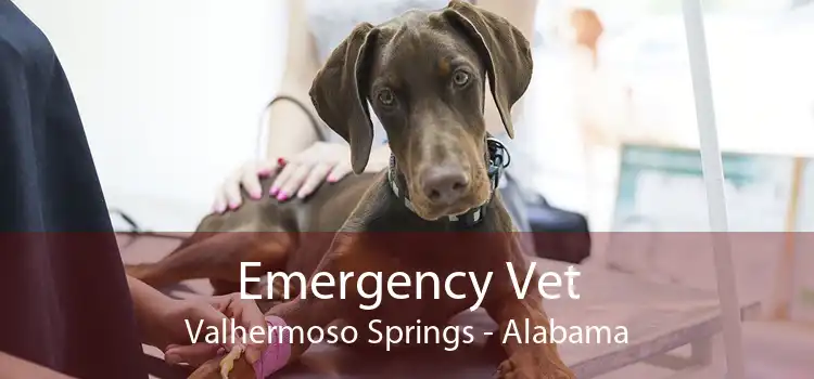 Emergency Vet Valhermoso Springs - Alabama