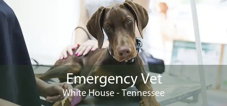 Emergency Vet White House - Tennessee
