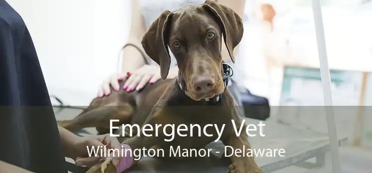 Emergency Vet Wilmington Manor - Delaware
