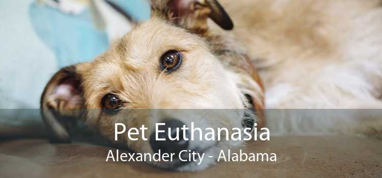 Pet Euthanasia Alexander City - Alabama