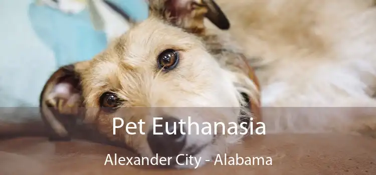 Pet Euthanasia Alexander City - Alabama