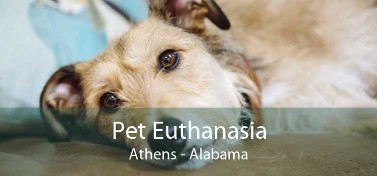 Pet Euthanasia Athens - Alabama