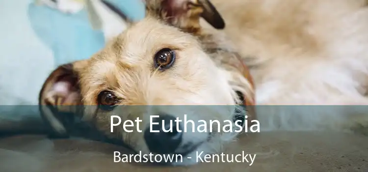 Pet Euthanasia Bardstown - Kentucky
