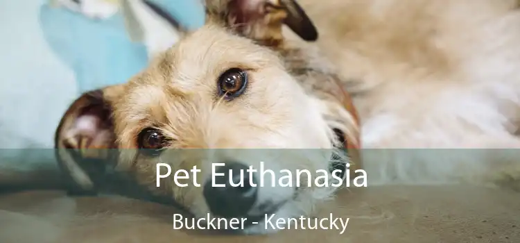 Pet Euthanasia Buckner - Kentucky