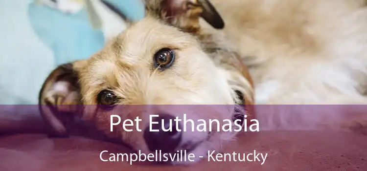 Pet Euthanasia Campbellsville - Kentucky