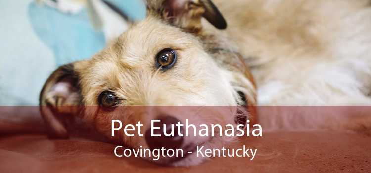 Pet Euthanasia Covington - Kentucky