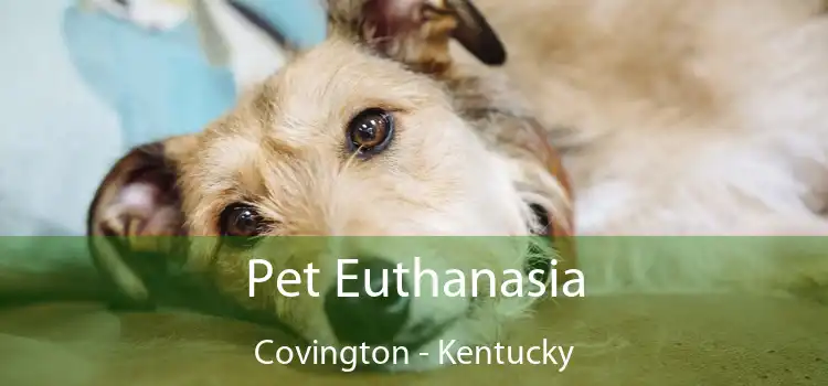 Pet Euthanasia Covington - Kentucky