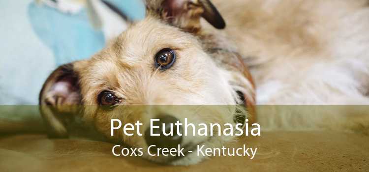 Pet Euthanasia Coxs Creek - Kentucky