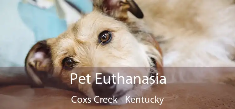 Pet Euthanasia Coxs Creek - Kentucky