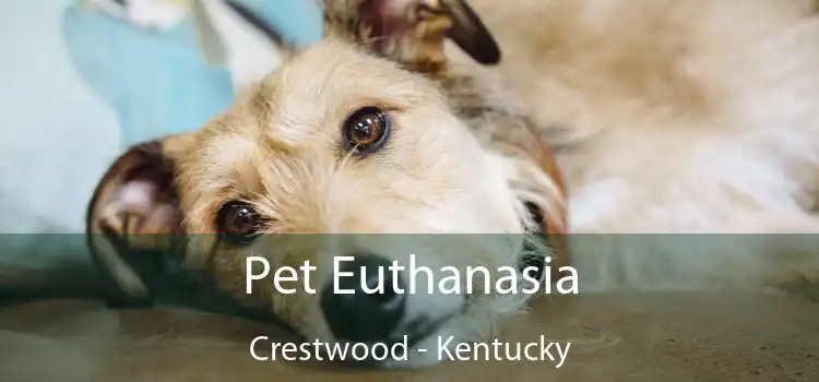 Pet Euthanasia Crestwood - Kentucky