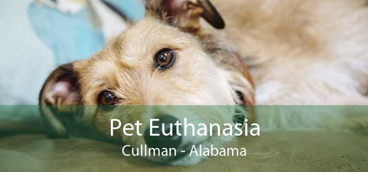 Pet Euthanasia Cullman - Alabama