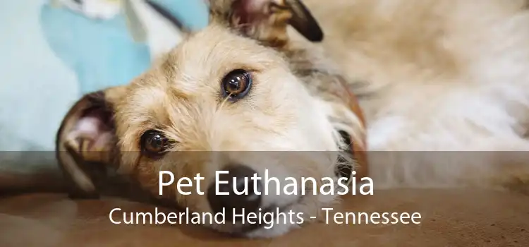 Pet Euthanasia Cumberland Heights - Tennessee