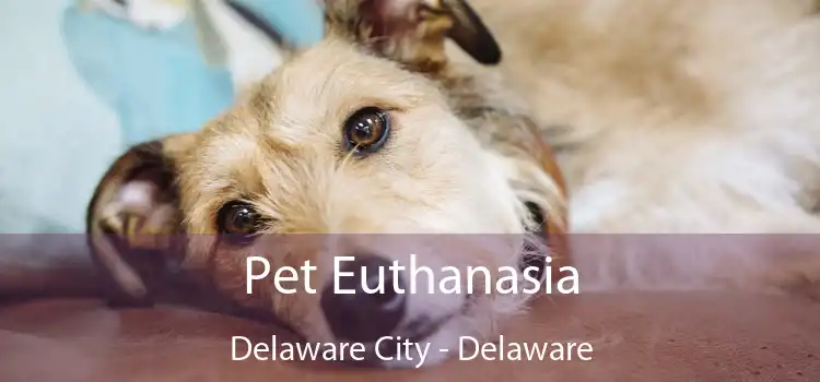 Pet Euthanasia Delaware City - Delaware