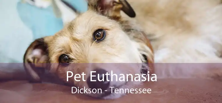 Pet Euthanasia Dickson - Tennessee